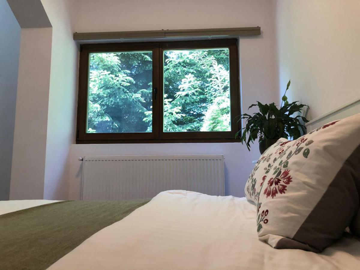 Forest Apartments By Olala Homes Sinaia Ngoại thất bức ảnh