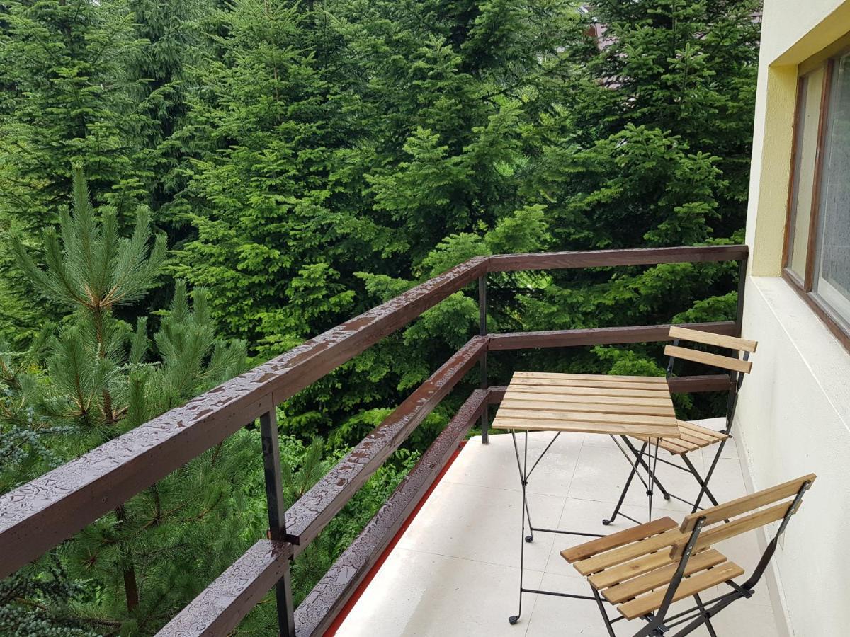 Forest Apartments By Olala Homes Sinaia Ngoại thất bức ảnh